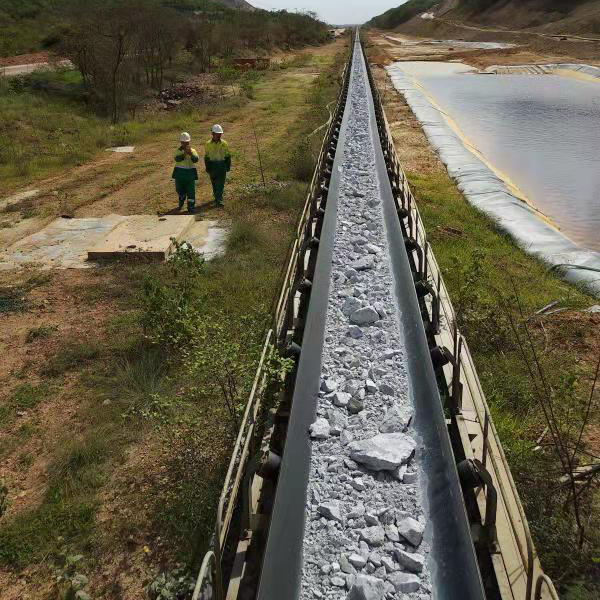 用邁世軌道巡檢機器人，海運碼頭長距離送料巡檢實現無人化